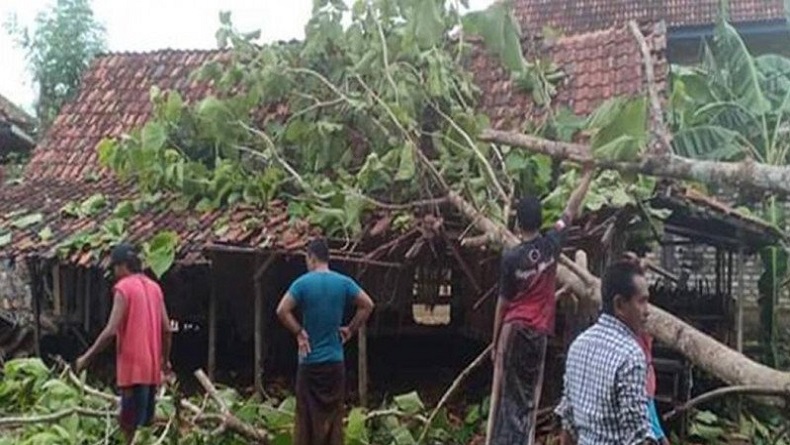 Cuaca Ekstrem, 52 Rumah Warga di Bantul Rusak Tertimpa Pohon