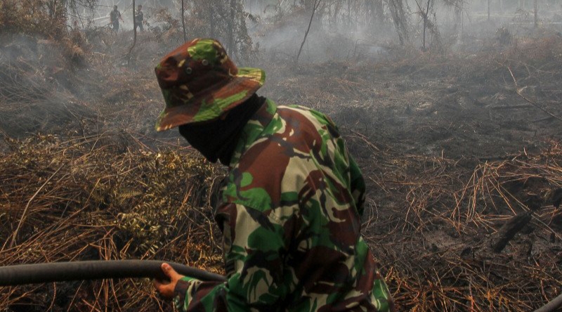 18 Titik Panas Terdeteksi di Kaltim, Tersebar di 4 Kabupaten