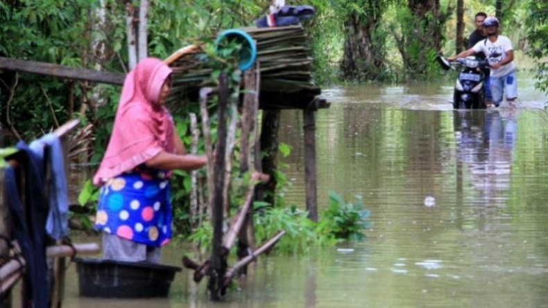 Banjir di Aceh Barat Meluas ke 14 Desa di 5 Kecamatan