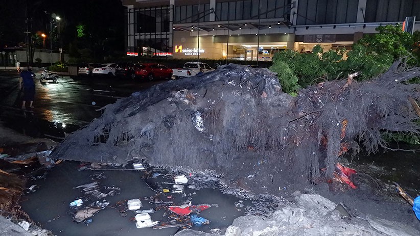 Angin Kencang, Pohon Tumbang Timpa Mobil di Medan - Bagian 2