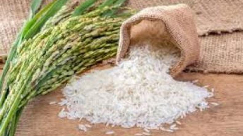 Kepala Bulog Pastikan Stok Beras di Kalsel Aman hingga Desember 2020