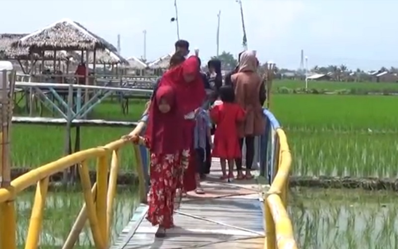 Terapkan Protokol Kesehatan, Desa Wisata Sawah di Medan Ramai Pengunjung