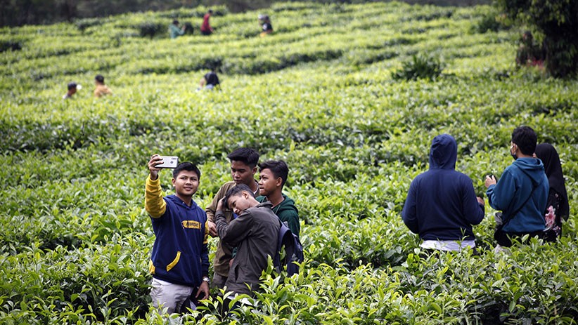 Libur Akhir Pekan, Kawasan Puncak Bogor Ramai Wisatawan - Bagian 1