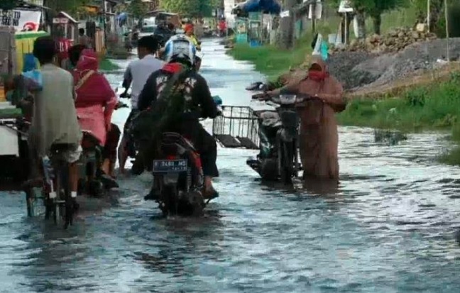 Banjir Rob di Kendal Rendam Puluhan Rumah, Aktivitas Warga Terganggu