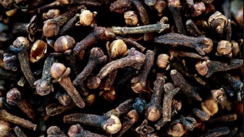 Petani di Pulau Taliabu Keluhkan Harga Cengkih yang Anjlok