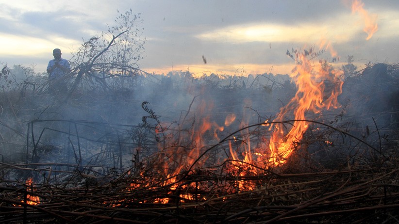 Kebakaran Lahan Gambut di Aceh Barat Meluas - Bagian 1