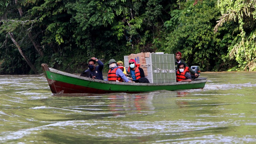 Momen Harimau Sumatera Dilepas ke Taman Nasional Gunung Leuser - Bagian 3