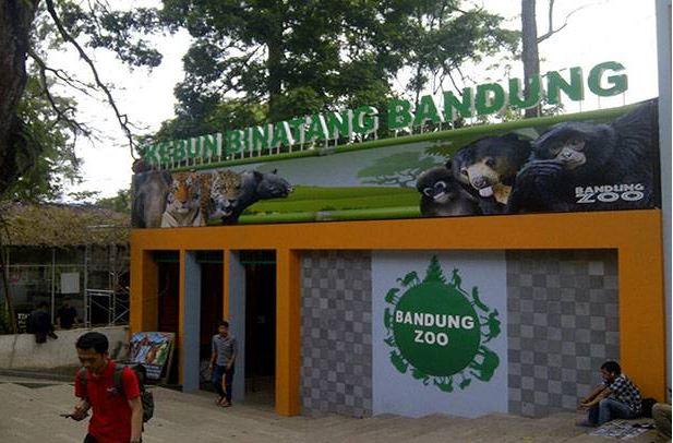 Libur Lebaran 2021, Kebun Binatang Bandung Buka Setiap Hari