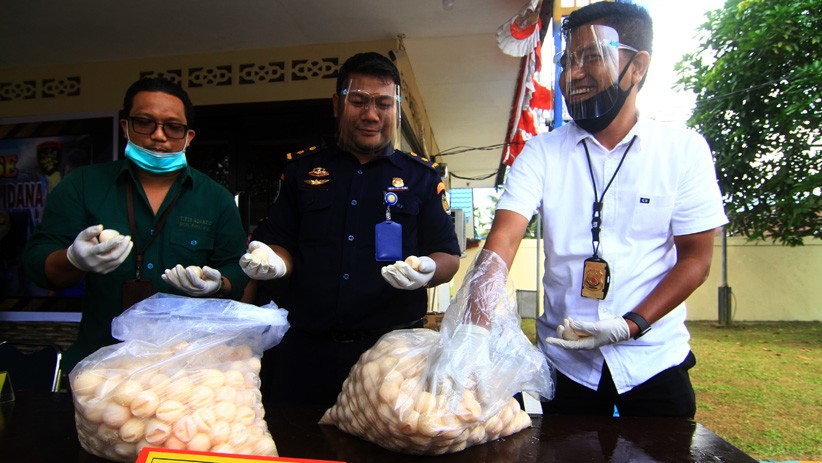 ABK Selundupkan 9.310 Butir Telur Penyu Ditangkap Polair Polda Kalbar - Bagian 1