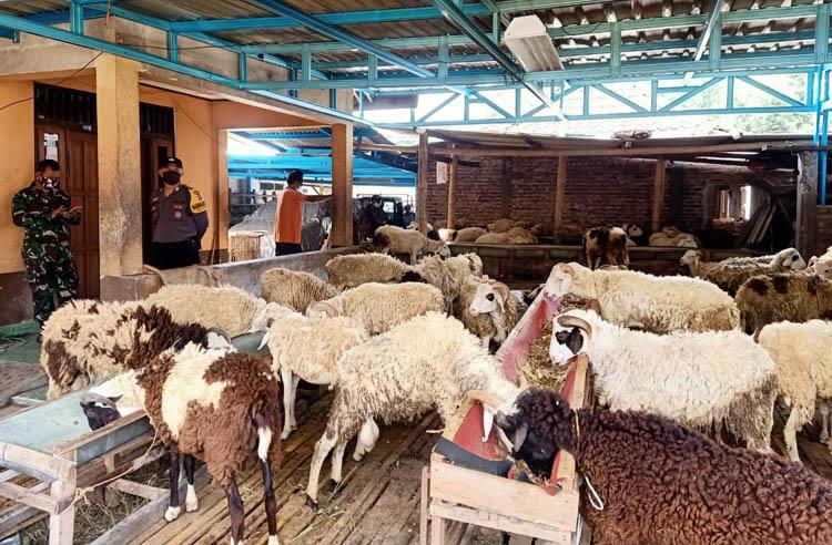 Protokol Penyembelihan Kurban Diperketat, Pengemasan Daging Jadi Perhatian
