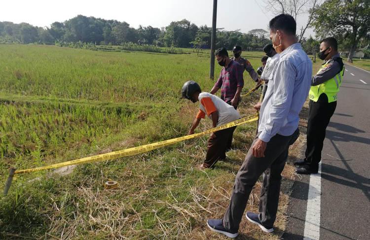 Ditinggal Memupuk Padi, Motor Petani Kulonprogo Hilang di Areal Persawahan