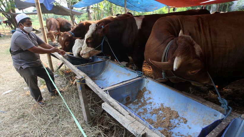 Hikmah Idul Adha di Tengah Pandemi Covid-19