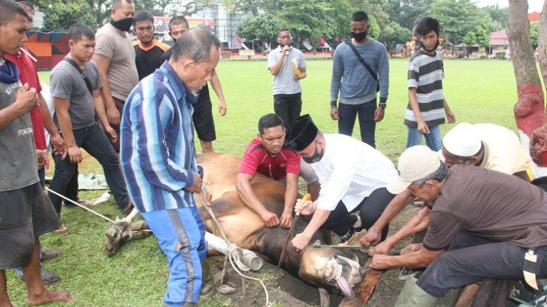 Peringati Idul Adha, Brimob Polda Sumut Sembelih 18 Sapi dan 4 Kambing
