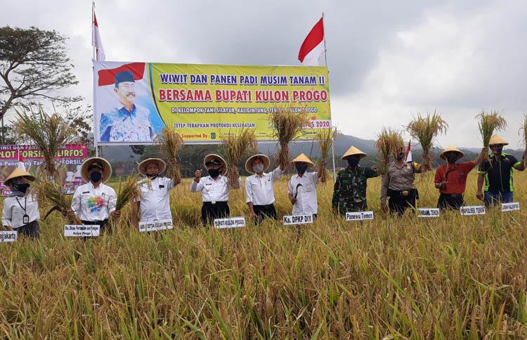 Produksi Padi Sumsel Tahun 2020 Naik 3,59 Persen Dibanding 2019