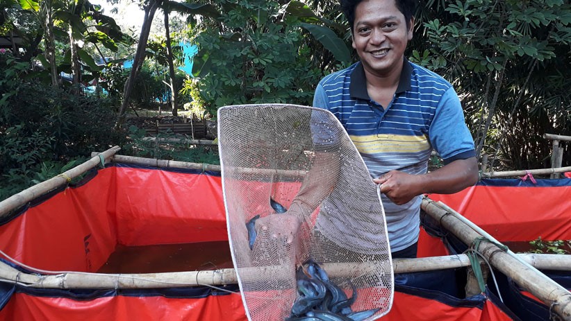 Permintaan Ikan Lele Meningkat saat Pandemi Virus Corona - Bagian 4