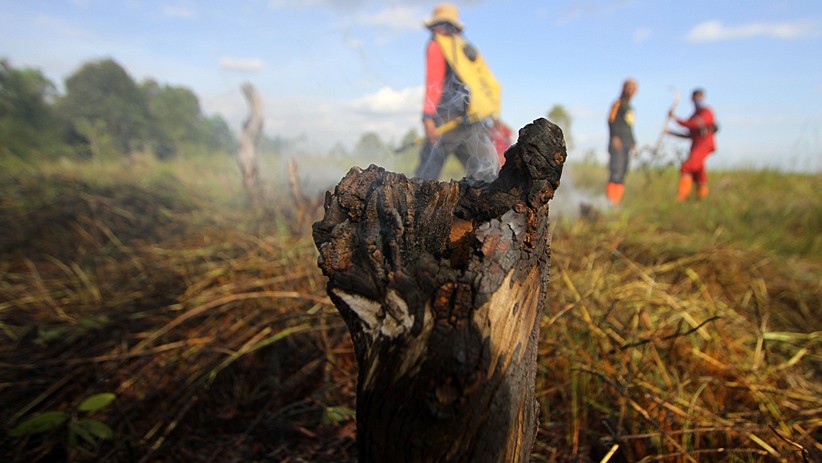 BPBD Kalsel Kerahan 4 Helikopter Padamkan Kebakaran Hutan dan Lahan - Bagian 3