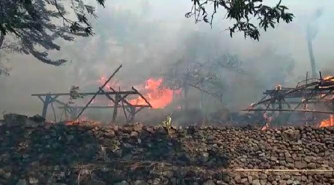 Puluhan Rumah Adat di Lembata NTT Ludes Terbakar