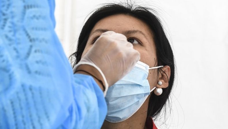  4 Pegawai Positif Covid, 242 PNS dan Tenaga Kontrak di Dinas Pertanian Malut Tes Swab PCR