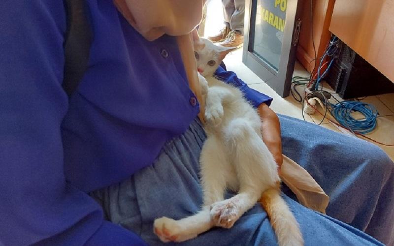 Sedih 4 Kucingnya Ditembak Orang, Gadis di Karanganyar Lapor Polisi