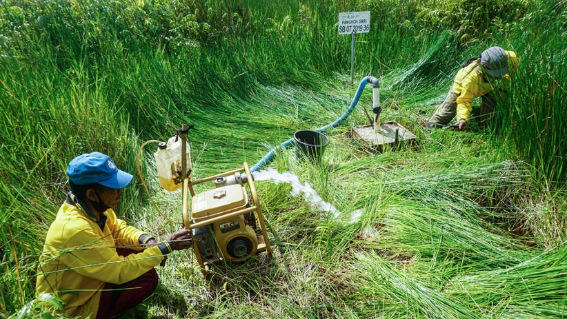 Begini Cara Warga Cegah Kebakaran Lahan Gambut di Kalimantan Tengah - Bagian 1
