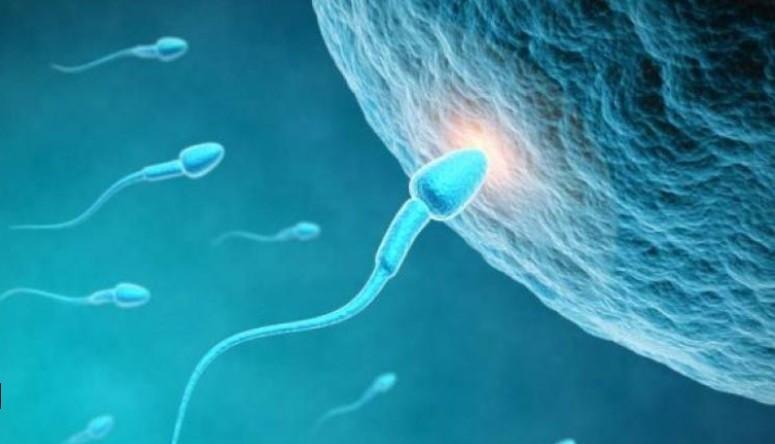 Waduh, Guru Ini Minta Para Siswa Bawa Kondom yang Diisi Sperma ke Sekolah