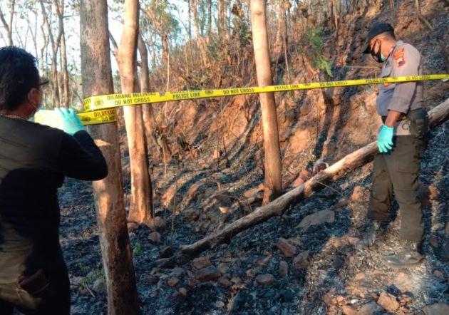 Tragis, Kakek di Rembang Tewas Terpanggang saat Bakar Daun Kering