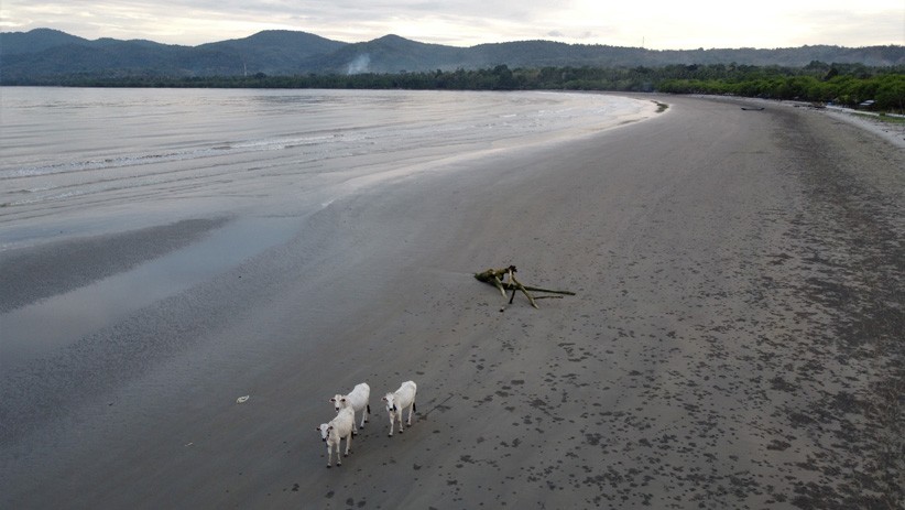 Kawasan Pantai Batu Gong Konawe Tercemar Limbah Tambang Nikel - Bagian 2