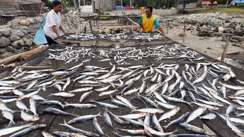 Fenomena La Nina Ancam Usaha Ikan Kering Nelayan Palu - Bagian 2
