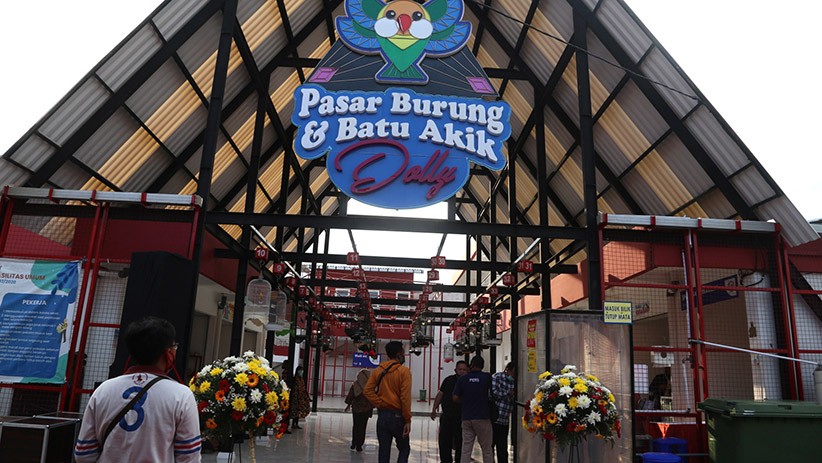 Eks Lokalisasi Dolly Surabaya Disulap Jadi Pasar Burung dan Batu Akik - Bagian 4