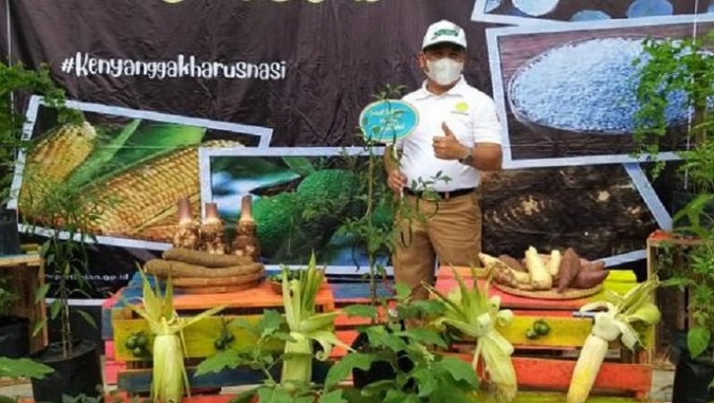 Tingkatkan Produksi Sagu dan Pangan, Babel Kembangkan Perkebunan Rumbia