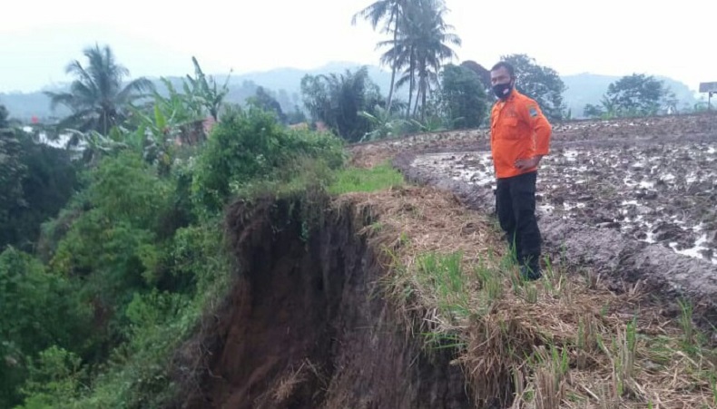 Tanah Tebing Tinggi 30 Meter Dekat Ruas Tol Cipularang KM 116 Longsor