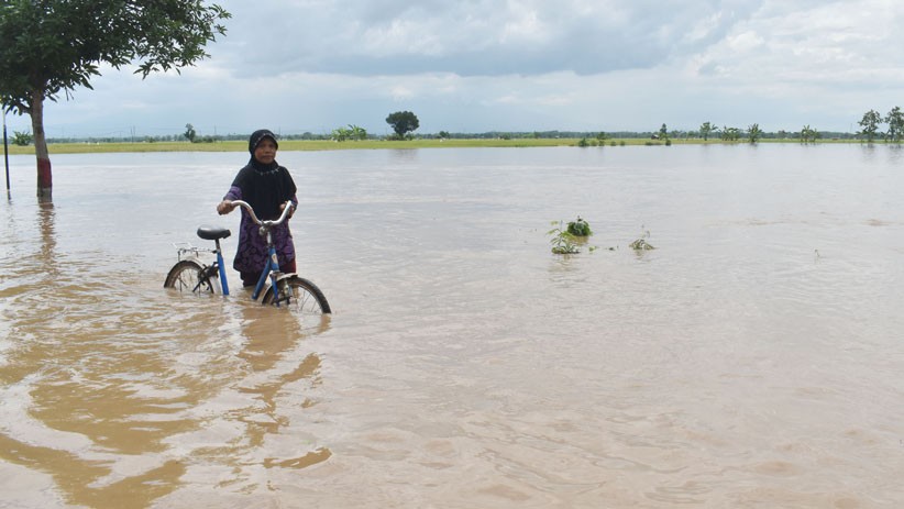 Banjir Rendam Jalan dan Ratusan Hektare Sawah di Ngawi - Bagian 2