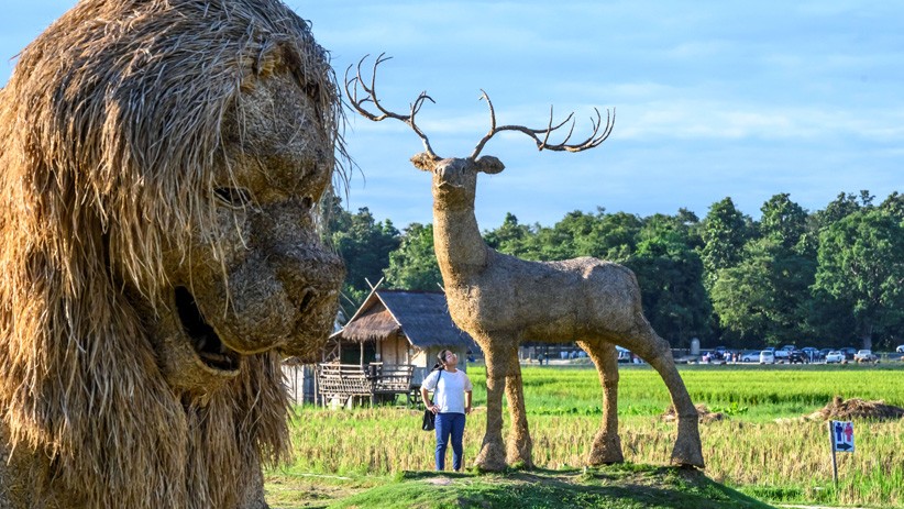 Penampakan Gorila Raksasa di Tepi Danau Chiang Mai Thailand - Bagian 4