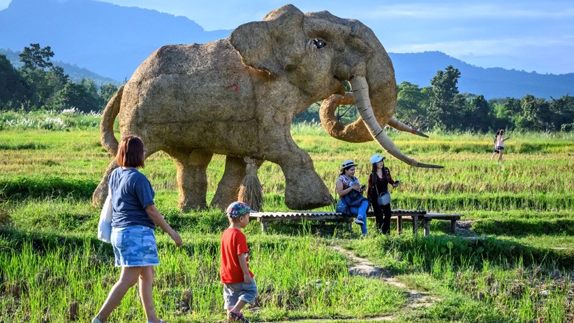 Penampakan Gorila Raksasa di Tepi Danau Chiang Mai Thailand - Bagian 3
