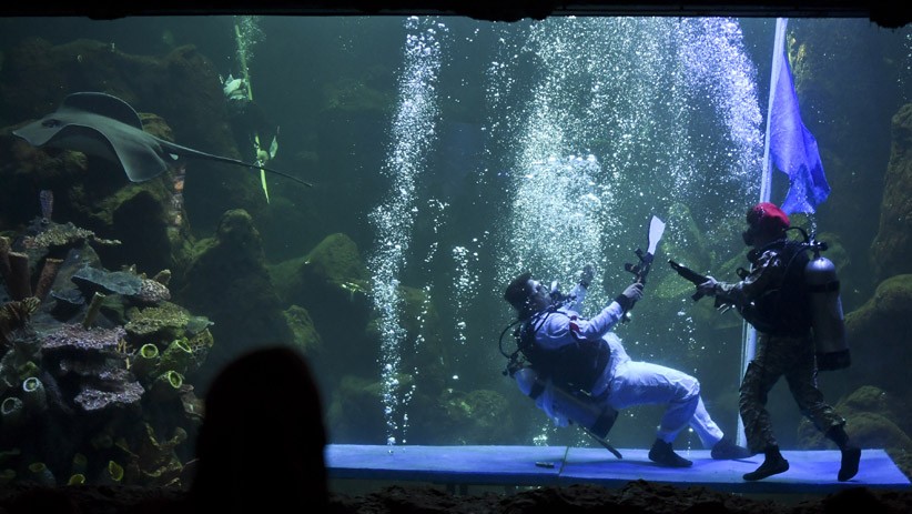 Peringati Hari Pahlawan, Para Penyelam Bertempur di Akuarium Sea World - Bagian 2
