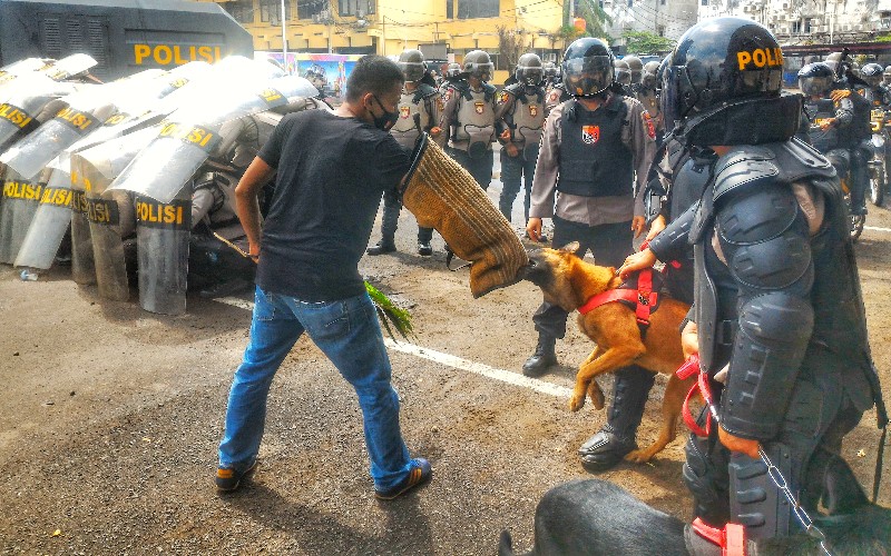 Pengunjuk Rasa di Palembang Digigit Anjing Polisi
