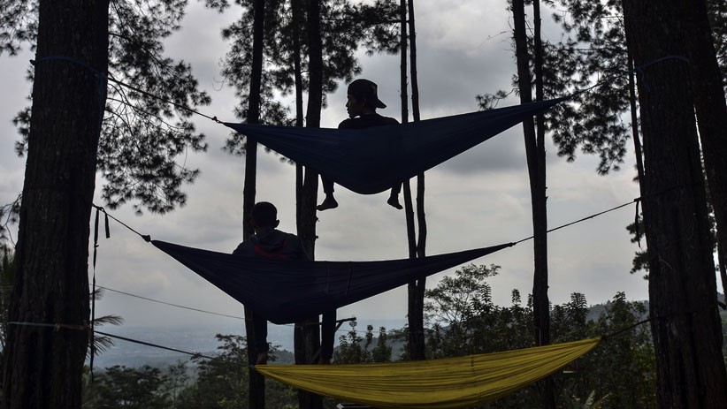Kawasan Hutan Pinus Darmacaang Diserbu Wisatawan usai Dibuka Kembali - Bagian 2
