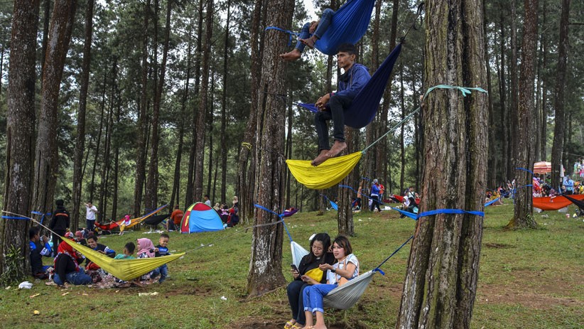 Kawasan Hutan Pinus Darmacaang Diserbu Wisatawan usai Dibuka Kembali - Bagian 1