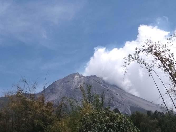 Gunung Merapi Mengeluarkan Guguran Lava Sejauh 700 Meter ke Arah Kali Senowo