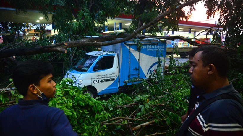 Angin Kencang Terjang Kudus, Puluhan Pohon Tumbang dan Listrik Mati - Bagian 1