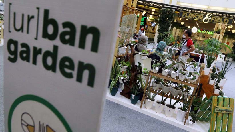 Pameran Budi Daya Tanaman Hidroponik Urban Garden - Bagian 3