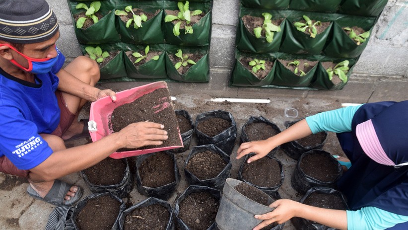 Antusiasme Warga Semarang Ikuti Pelatihan Urban Farming - Bagian 1