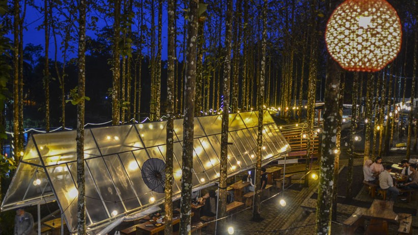 Wisata Kedai Kopi di Tengah Hutan Jati Desa Jalatrang Ciamis - Bagian 1