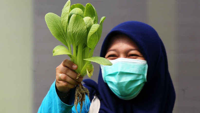 Hari Guru Nasional, Tenaga Pengajar Surabaya Ajak Budi Daya Sayur Hidroponik - Bagian 3