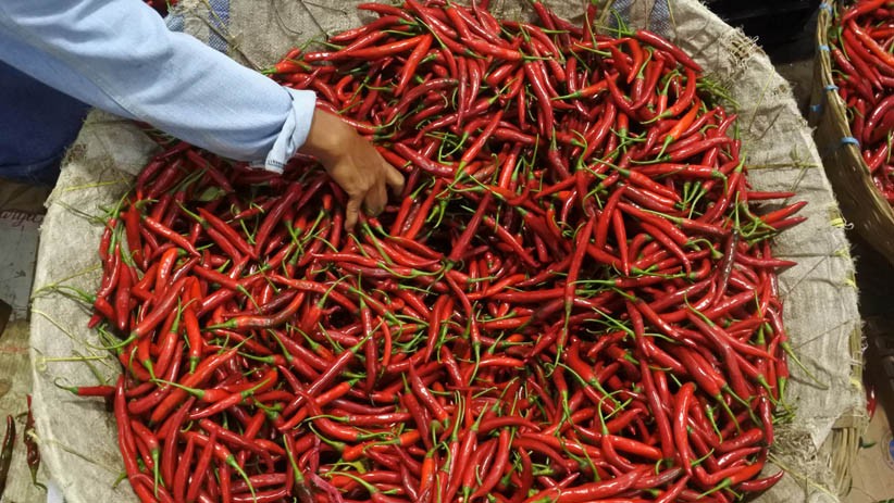 Harga Cabai Naik Jadi Rp30.000 per Kg di Jember - Bagian 2