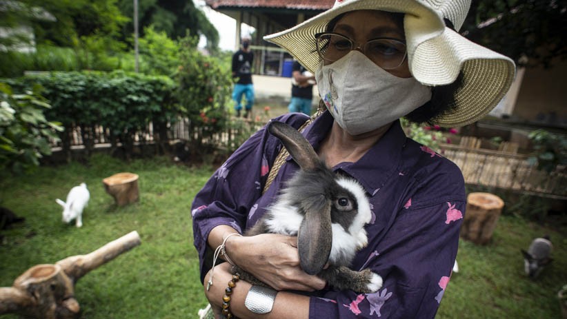 Taman Kelinci Bambu Apus Jadi Alternatif  Wisata di Jakarta Timur - Bagian 2