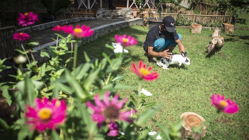 Taman Kelinci Bambu Apus Jadi Alternatif  Wisata di Jakarta Timur - Bagian 1