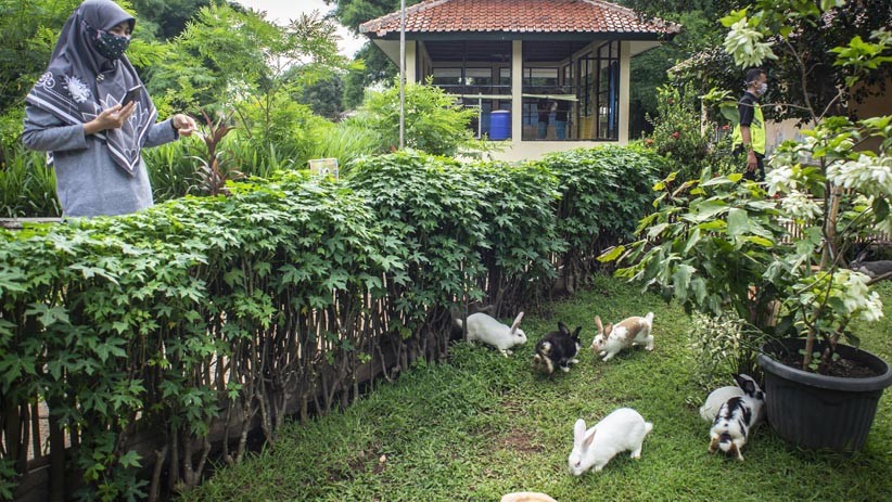 Taman Kelinci Bambu Apus Jadi Alternatif  Wisata di Jakarta Timur - Bagian 3