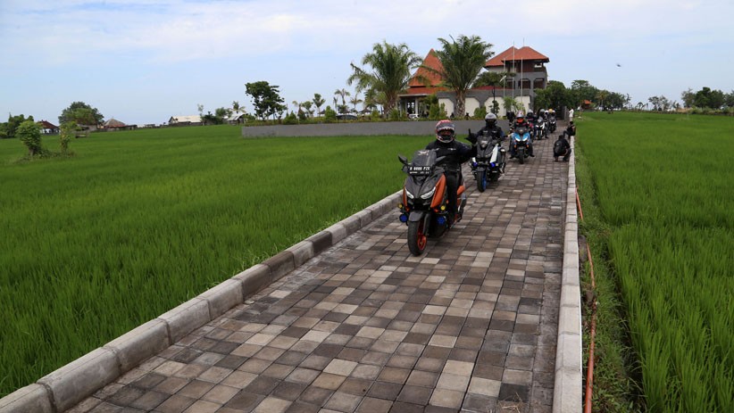 Hotel Ini Tawarkan Pemandangan Persawahan dan Bibir Pantai Lovina Bali - Bagian 2