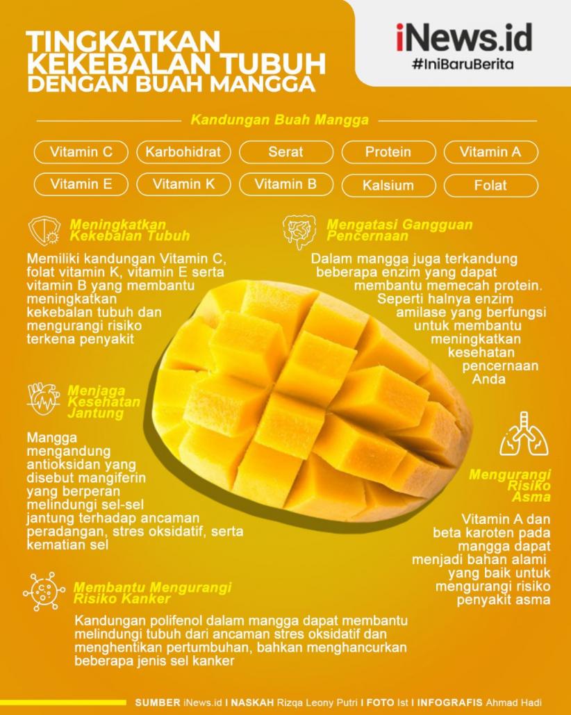 Infografis Manfaat Mangga untuk Kesehatan Tubuh